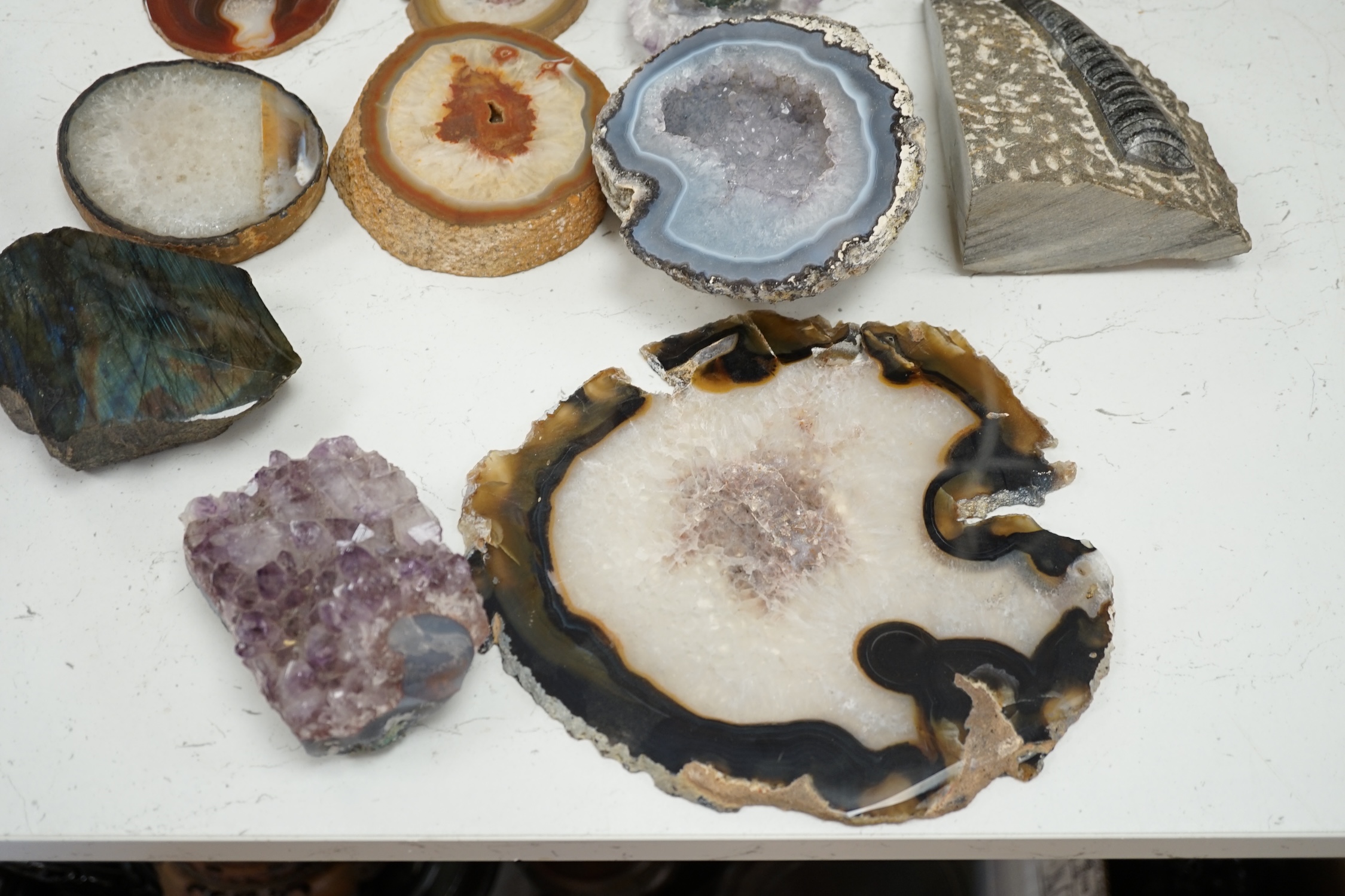 A group of mineral and fossil specimens, largest amethyst 26.5cm wide. Condition - good